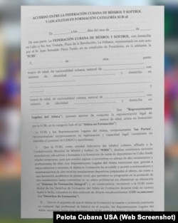 Pelota Cubana USA publicó una copia del contrato.